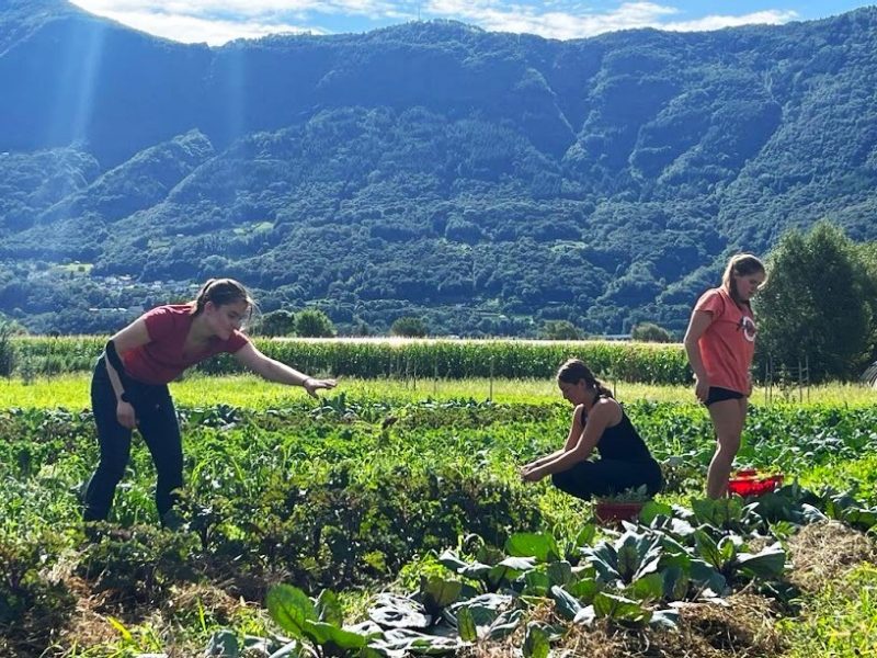 students in fields of Italy working with produce