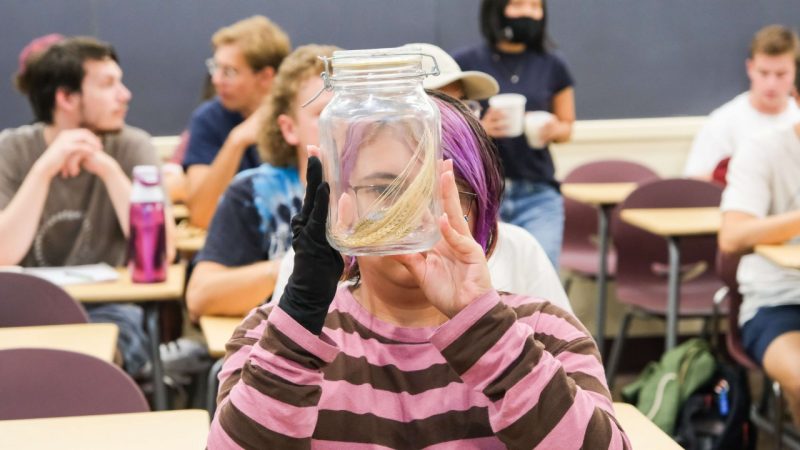 A student looks through a glass jar to examine food in class