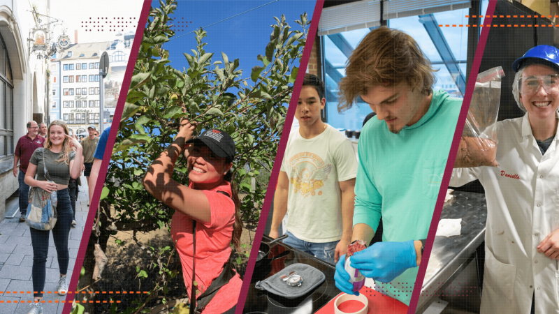 Graphic with four photos of students walking in a foreign city, working in a field, working in a lab, and holding up a bag of material.